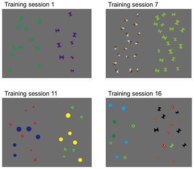 Effects of Visual Training of Approximate Number Sense on Auditory Number Sense and School Math Ability